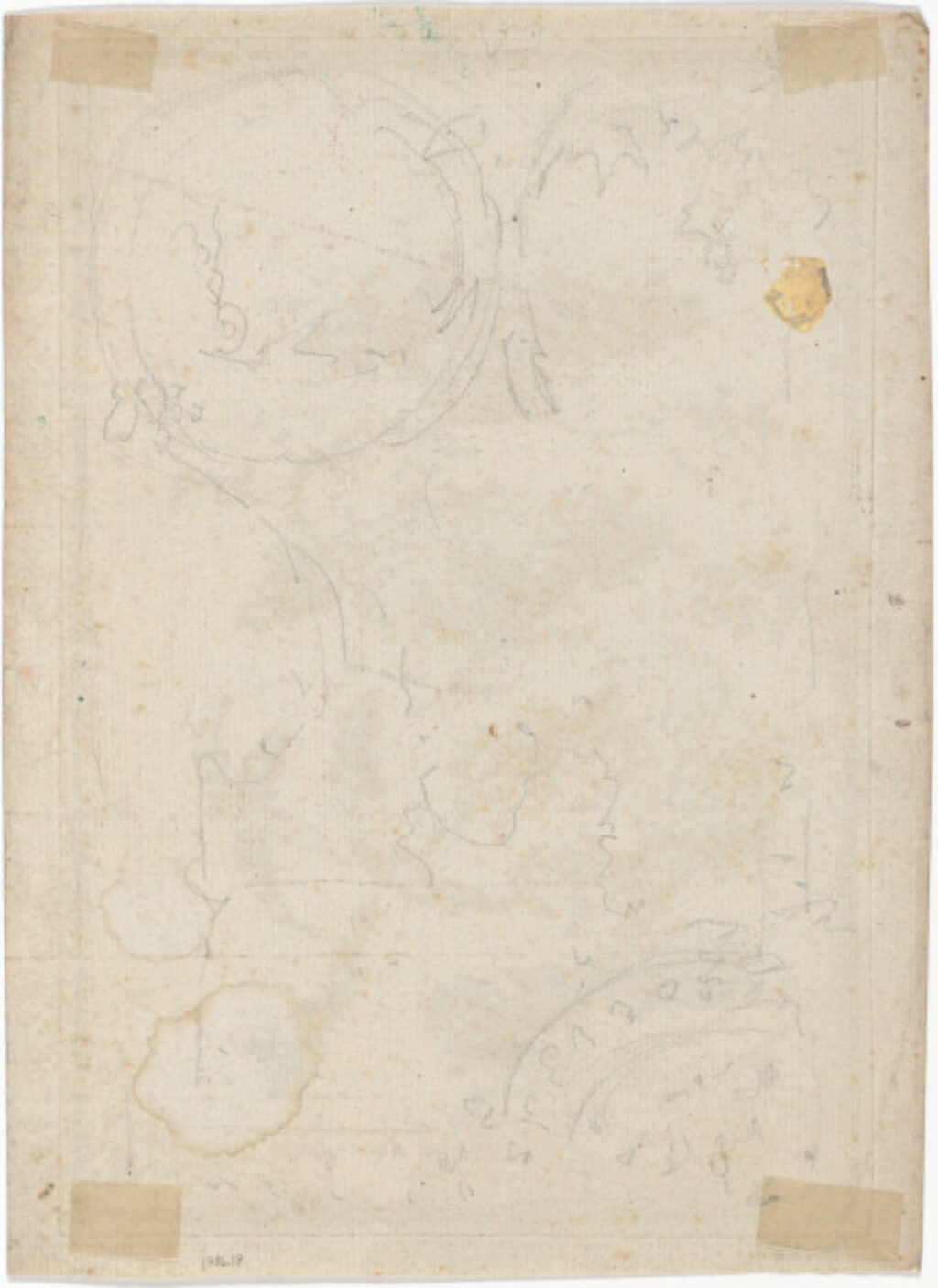 Flowers, no. 5 - Image 2