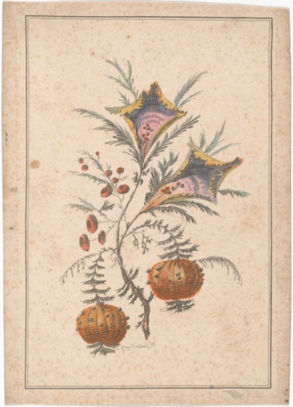Flowers, no. 7 - Image 1