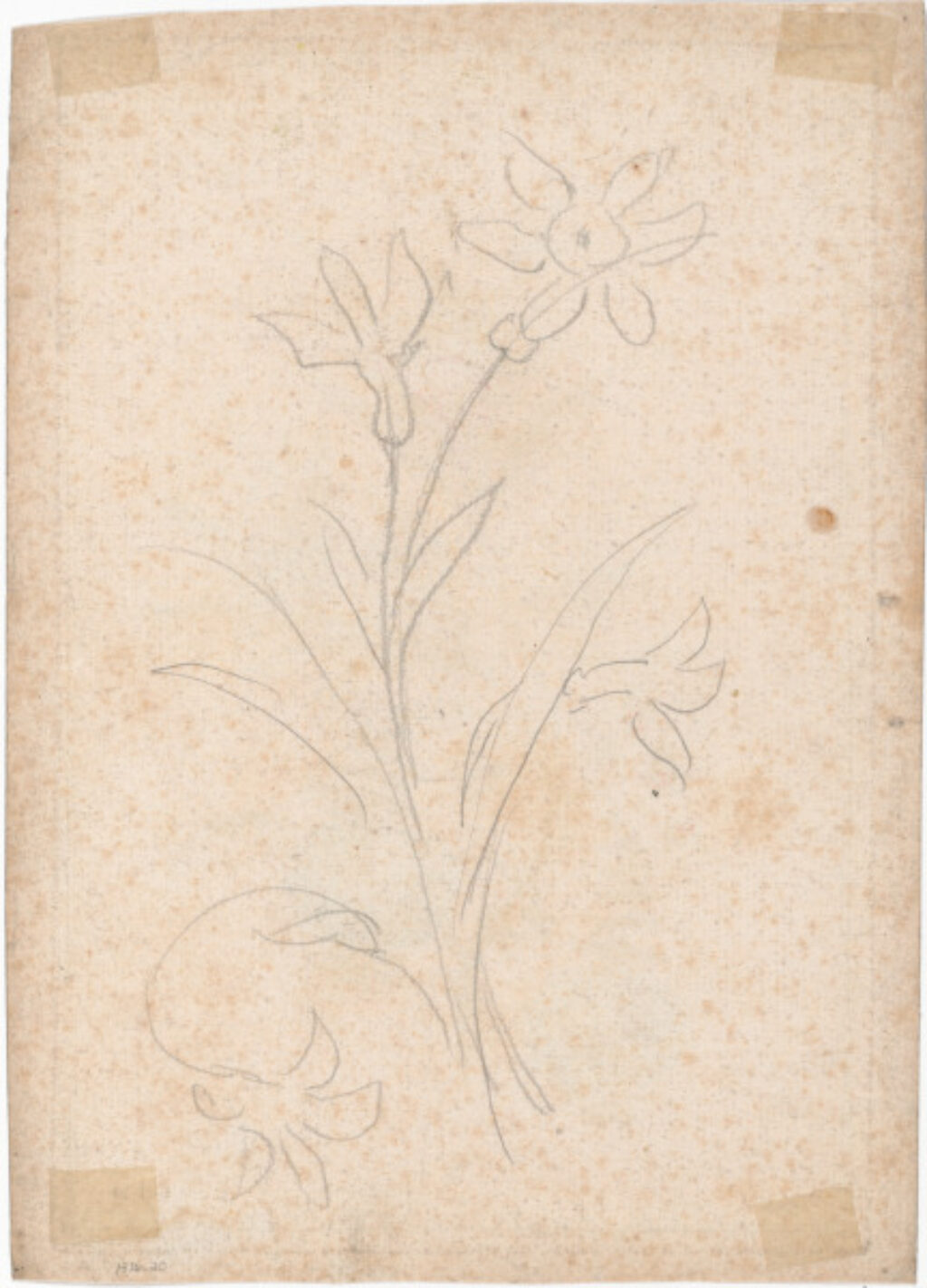 Flowers, no. 7 - Image 2