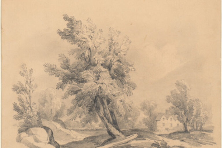The Old House by the Wayside