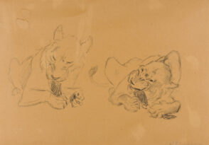 Two Lionesses Knawing on Bones