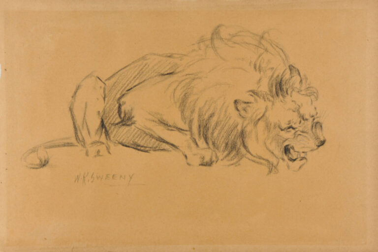 Snarling Lion (recto); Head of a Lioness (verso)