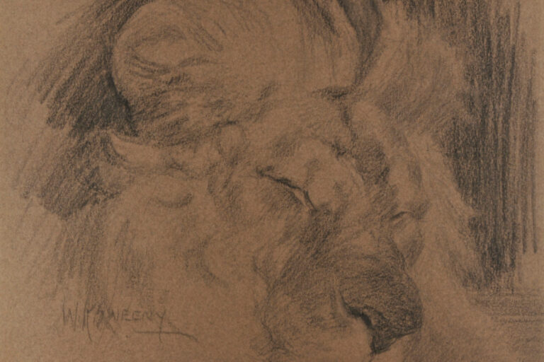 LION SLEEPING