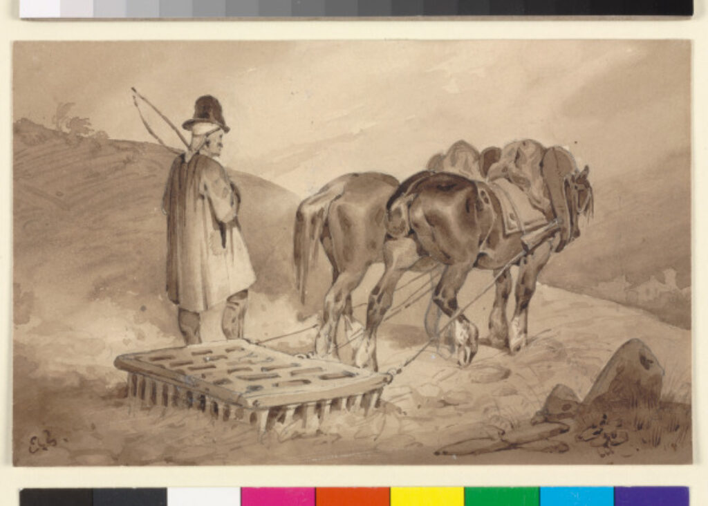 Man Harrowing with Two Horses - Image 1