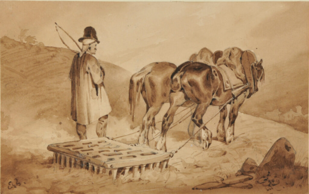 Man Harrowing with Two Horses - Image 2