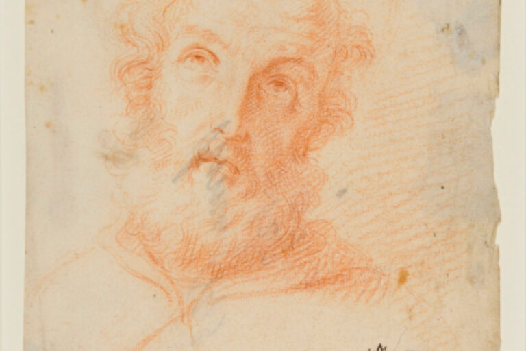 Head of a Saint