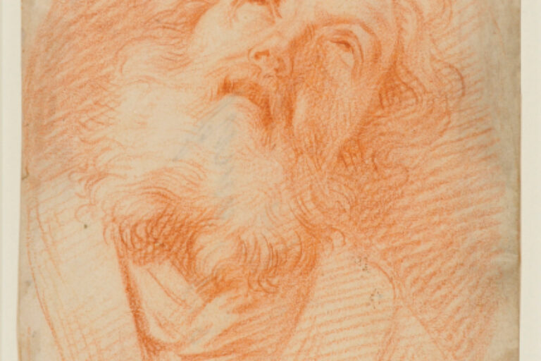 Head of a Saint