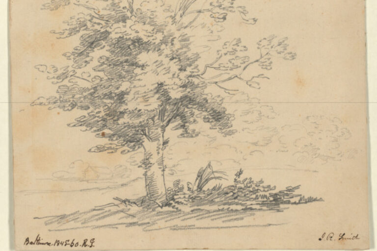 TREE IN A LANDSCAPE