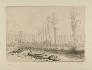 The Poplars, Amiens