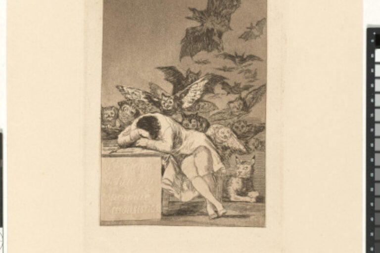 EL SUEÑO DE LA RAZON PRODUCE MONSTRUOS (THE SLEEP OF REASON PRODUCES MONSTERS)