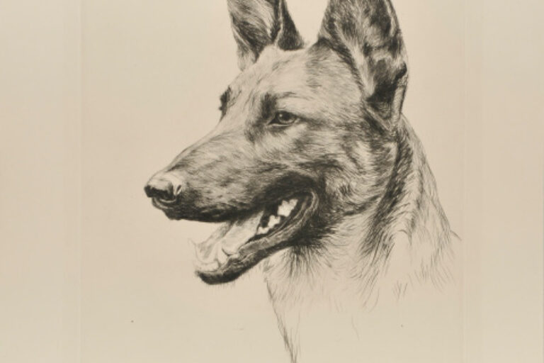 Rin-Tin-Tin