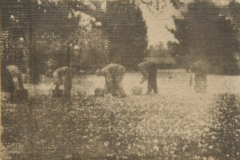 MEN PICKING
