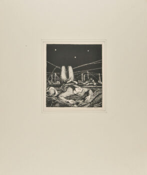 Fallen (Barbed Wire)