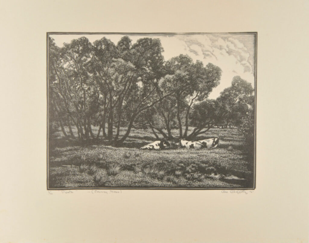 Ramshackle Barn - Image 1