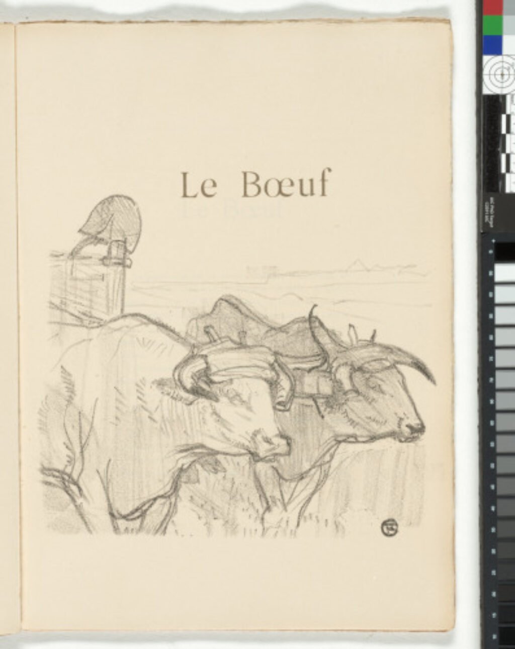 Histoires Naturelles - Image 17