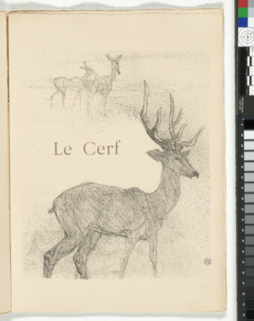 Histoires Naturelles - Image 15