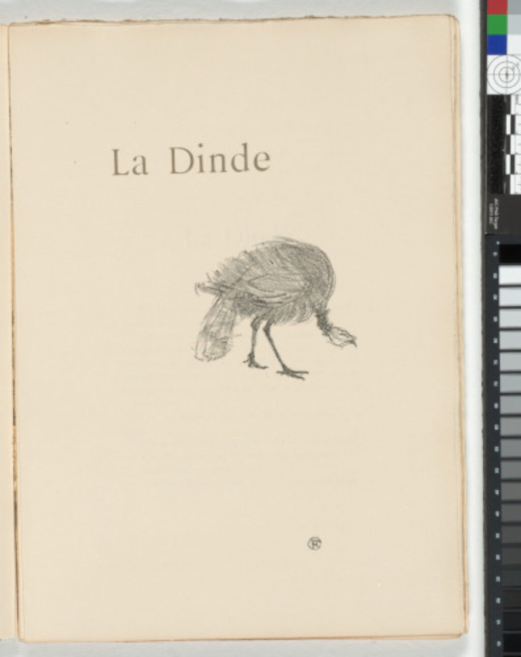 Histoires Naturelles - Image 7