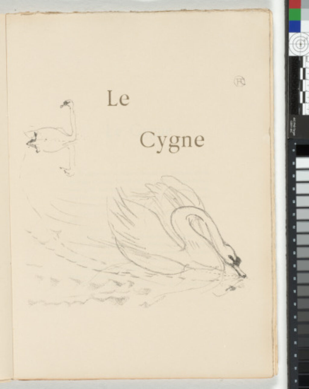 Histoires Naturelles - Image 5