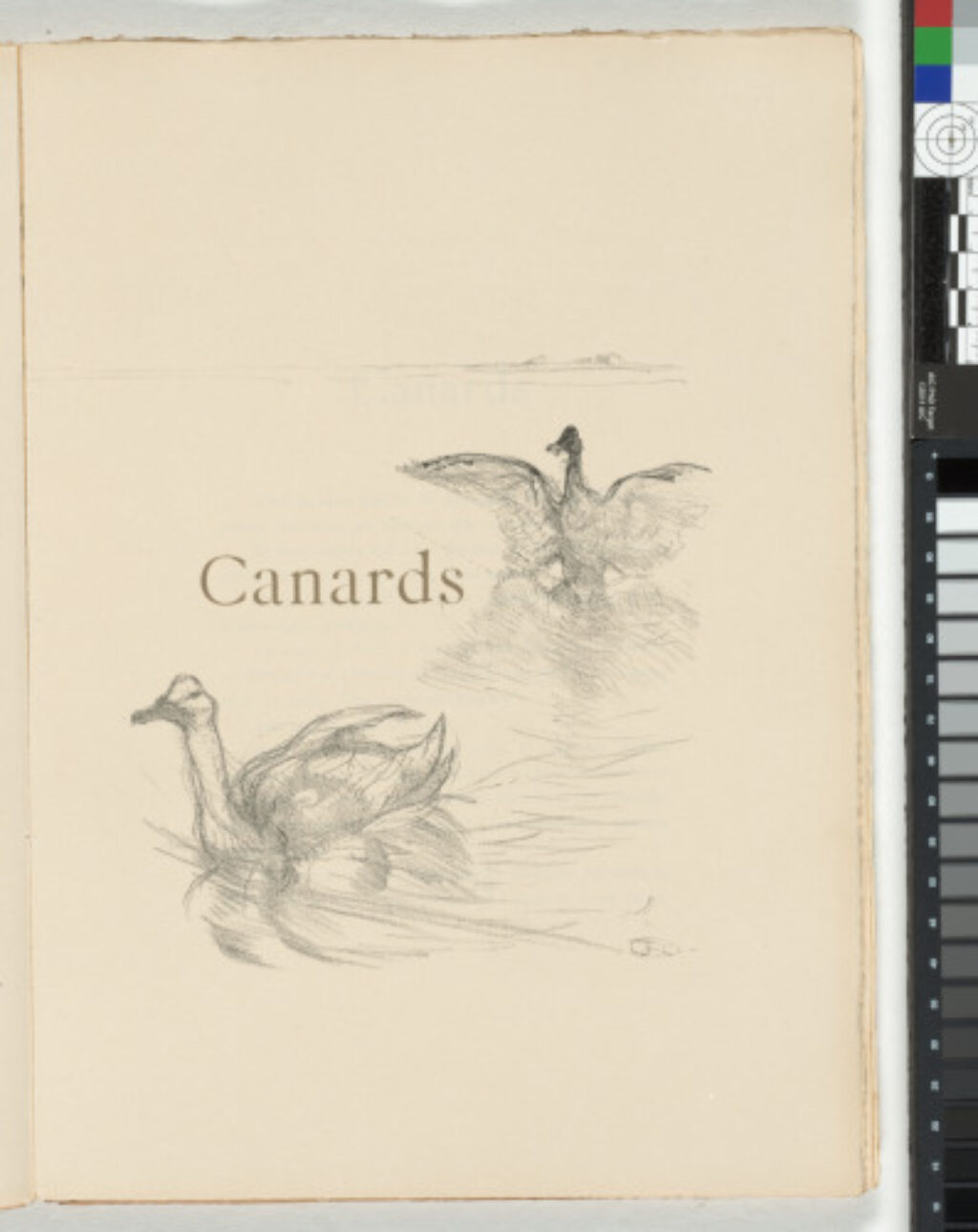 Histoires Naturelles - Image 4