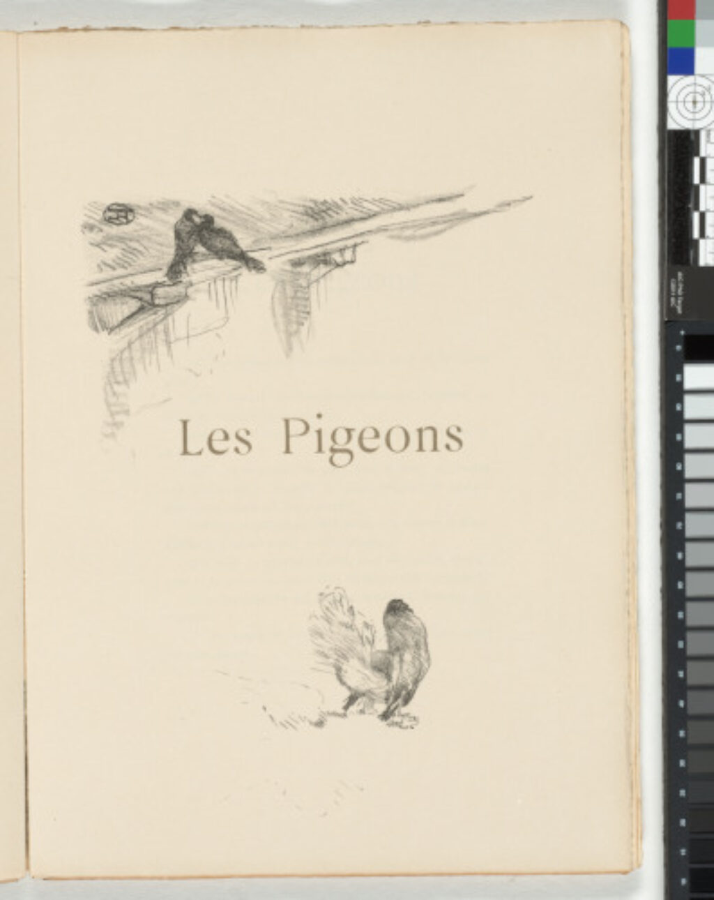 Histoires Naturelles - Image 3