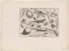 Sheet with Lizard (part III, plate 5)