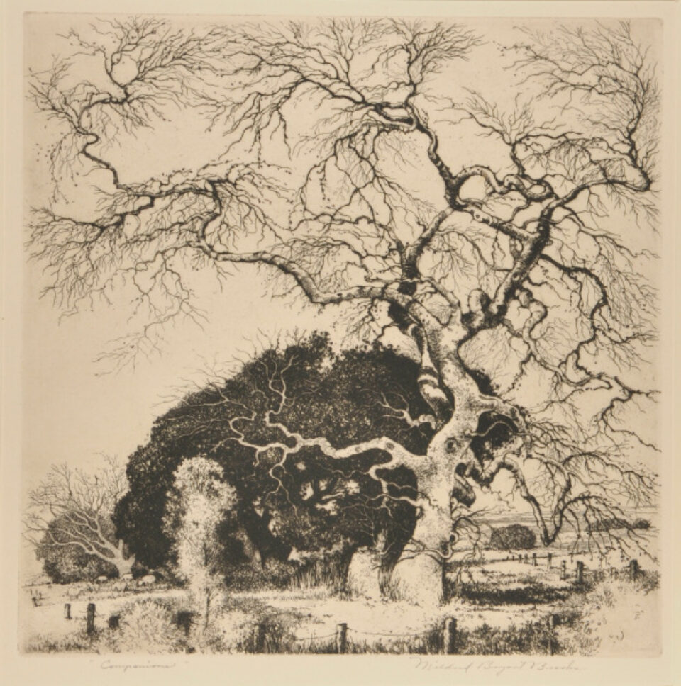 Mildred Bryant Brooks