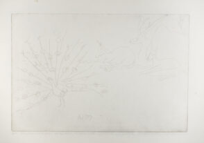 Peacock and Deer at the Zoo