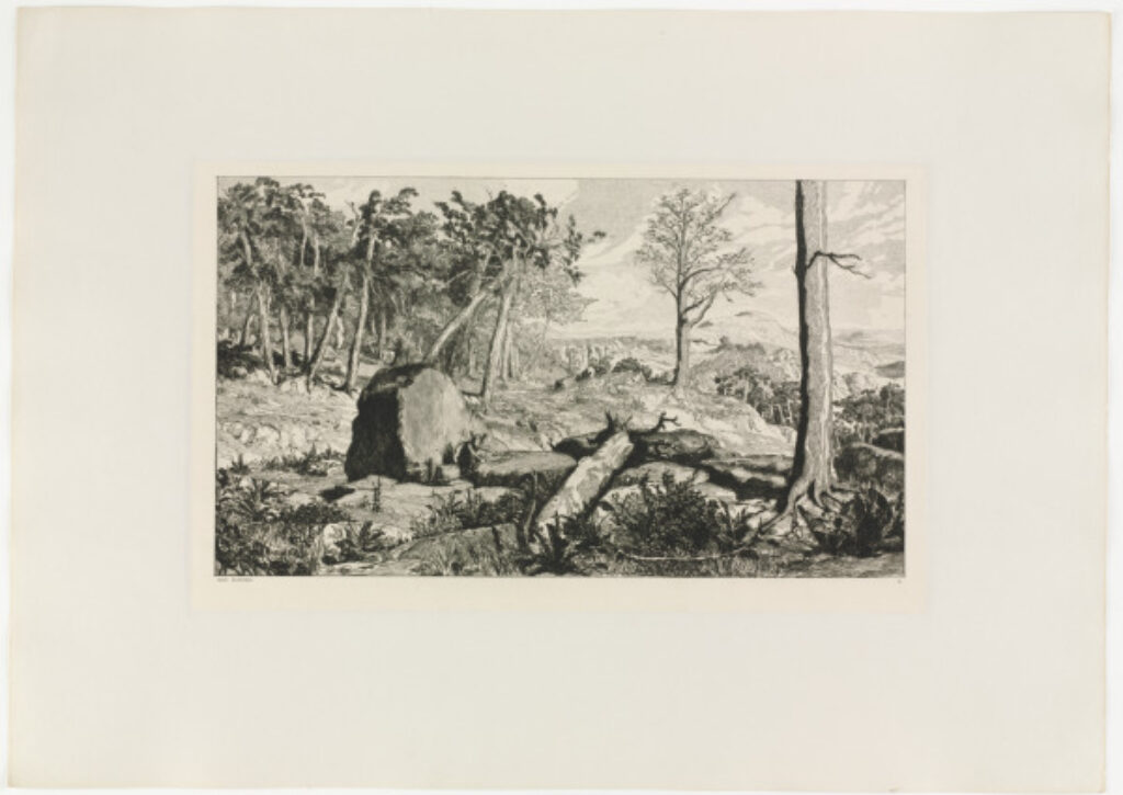 Simplicius in the Solitude of the Forest - Image 1