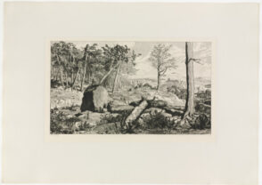 Simplicius in the Solitude of the Forest