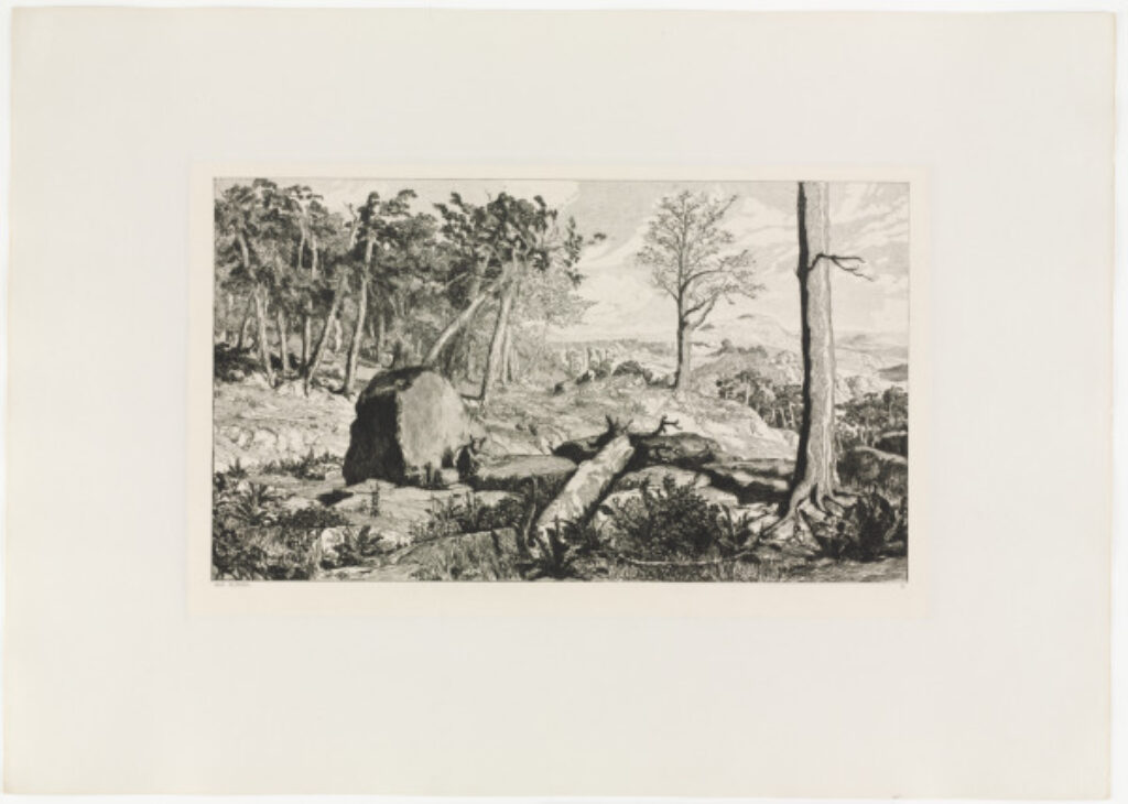 Simplicius in the Solitude of the Forest - Image 2