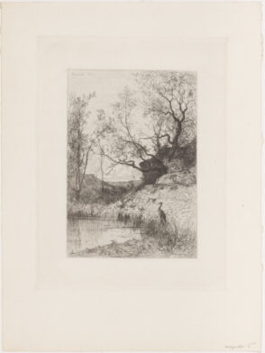 Woodland Pond, near Rossillon
