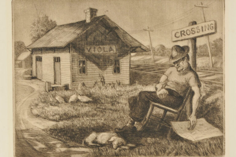 Viola