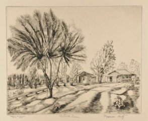 Willow Tree