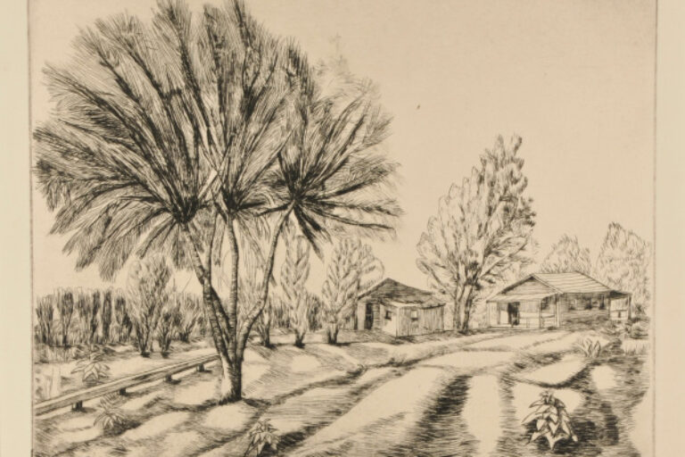 Willow Tree