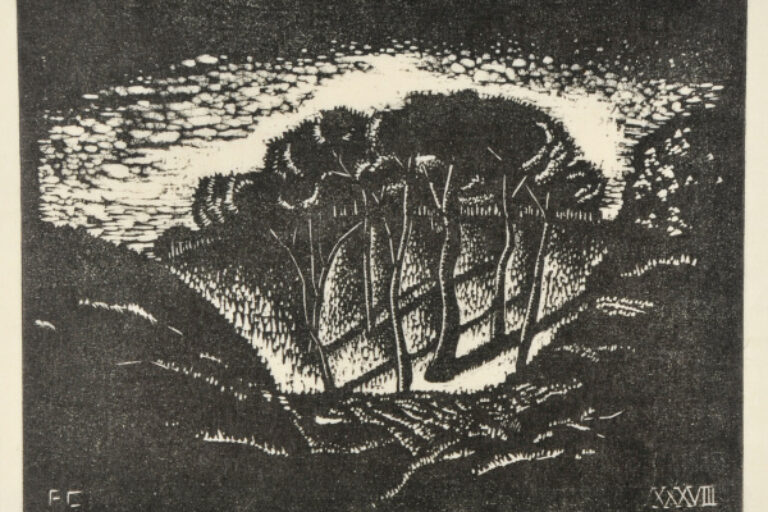 The Village Forest