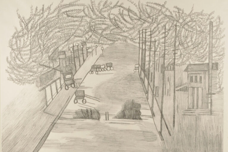 Scene Near G.G. Park S.F. Cal.