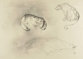 Leopards and Mountain Lion