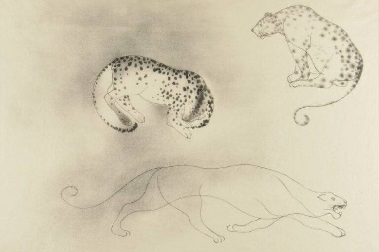 Leopards and Mountain Lion