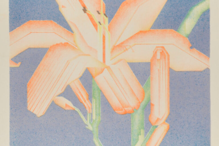 Day Lily