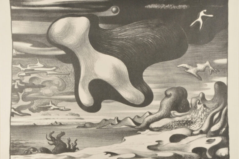 Setting for a Clam Bake