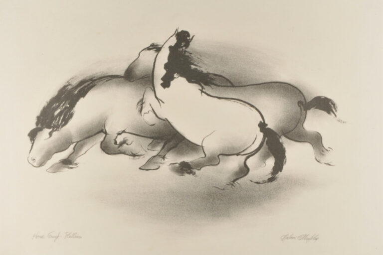 Horse Group – Stallions