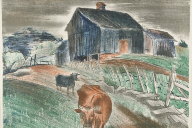 Cows and Barns