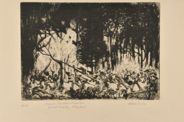 Fire on Backbone Mountain, Garrett County, Maryland