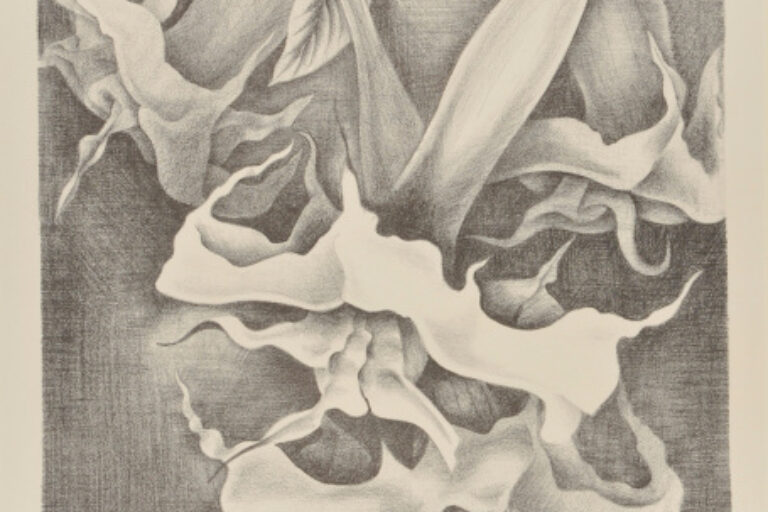 DATURA SERIES, GROUP 2