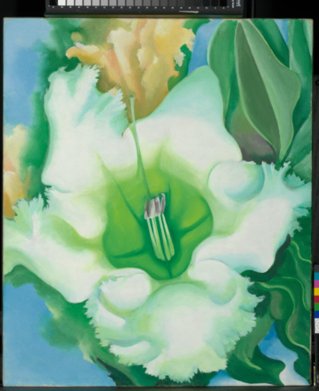 Cup of Silver Ginger - Image 1