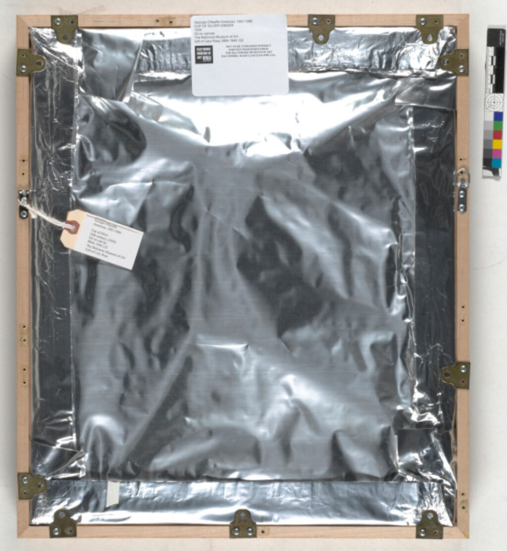 Cup of Silver Ginger - Image 3