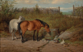 Two Horses at a Trough