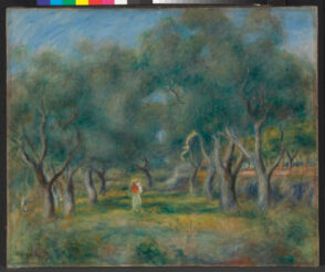 Olive Trees