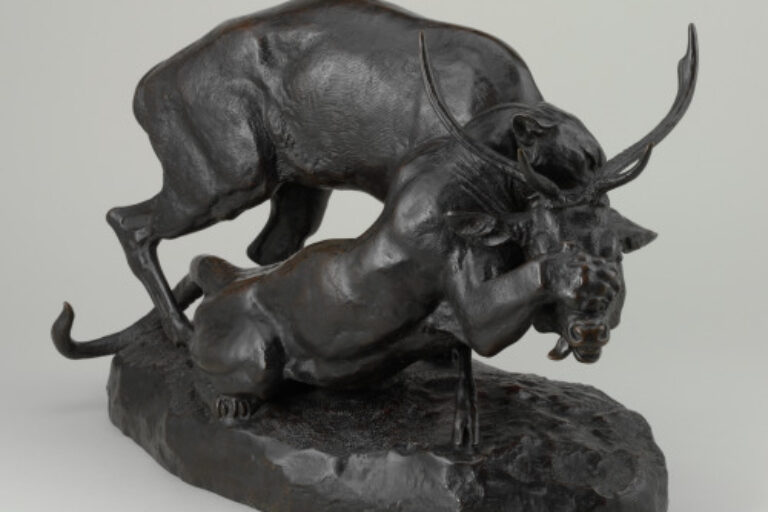 PANTHER SEIZING A STAG