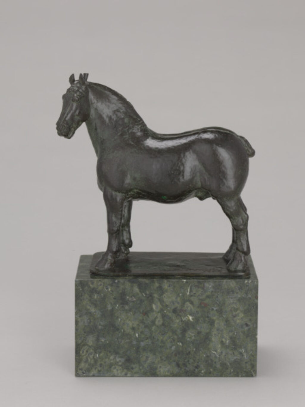 Stallion - Image 1